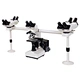 Multi-Head Microscope